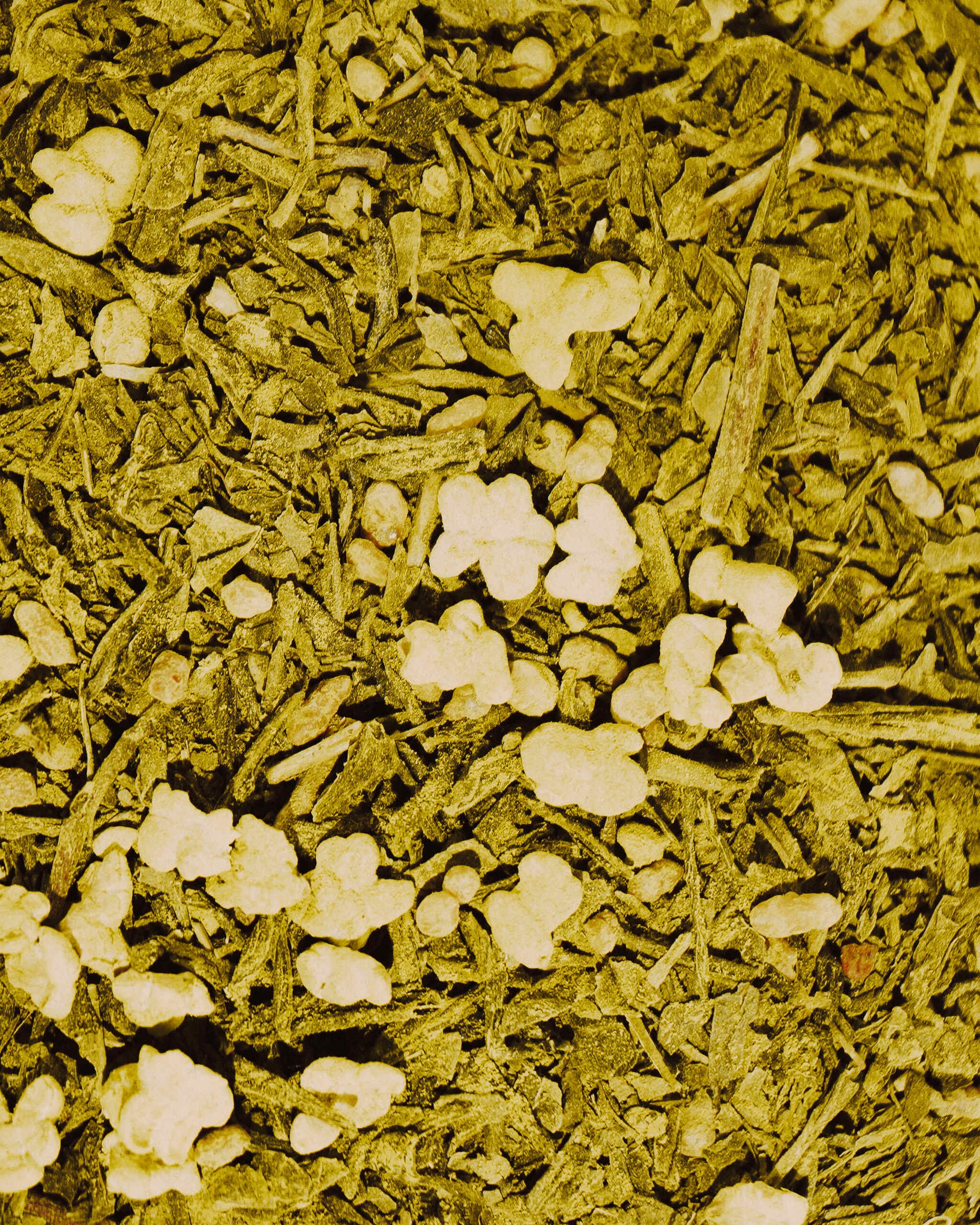 Genmaicha / Loose Leaf Tea