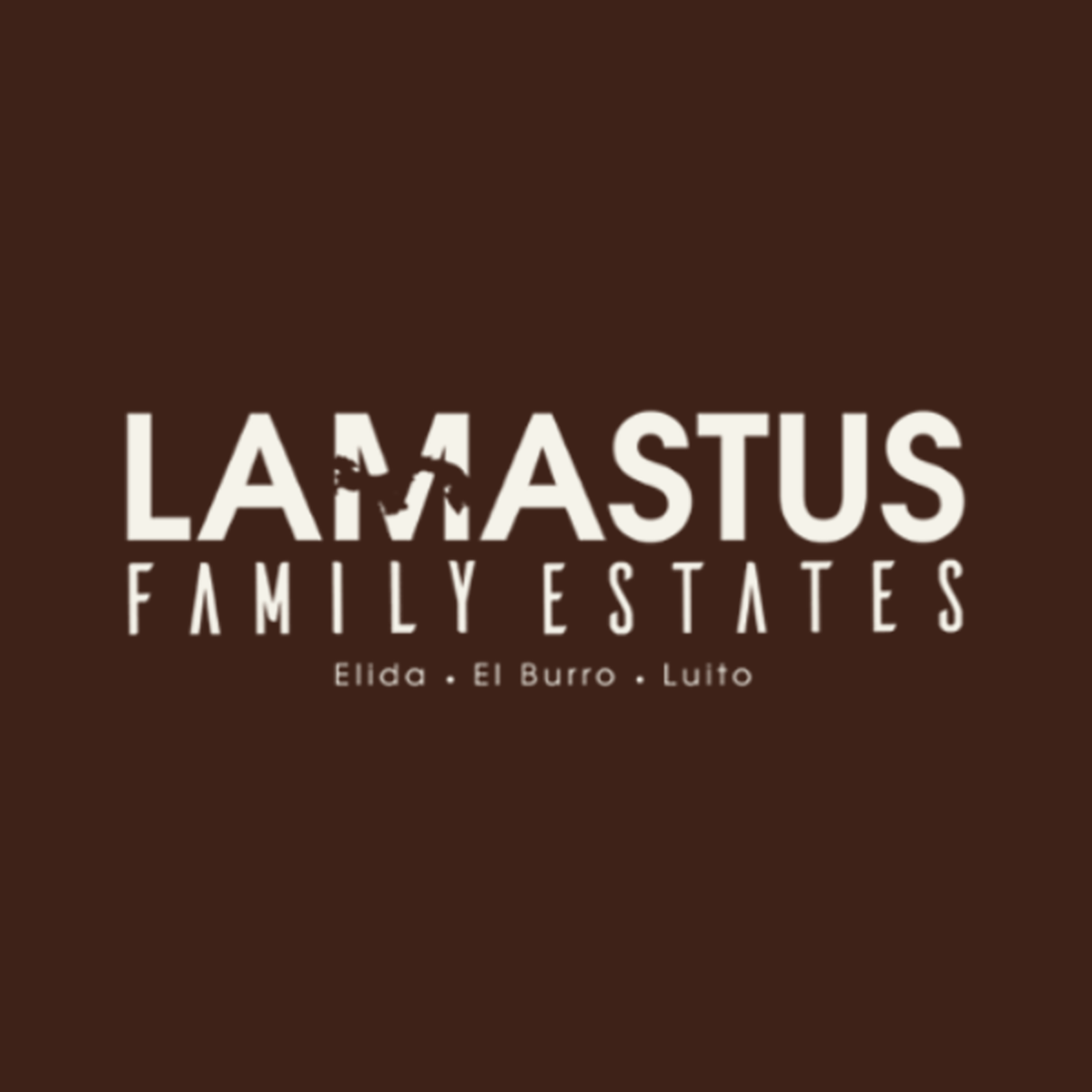 Lamastus Family Estates Elida Symmetrical GW ASD RFI Aguacate Geisha 100g