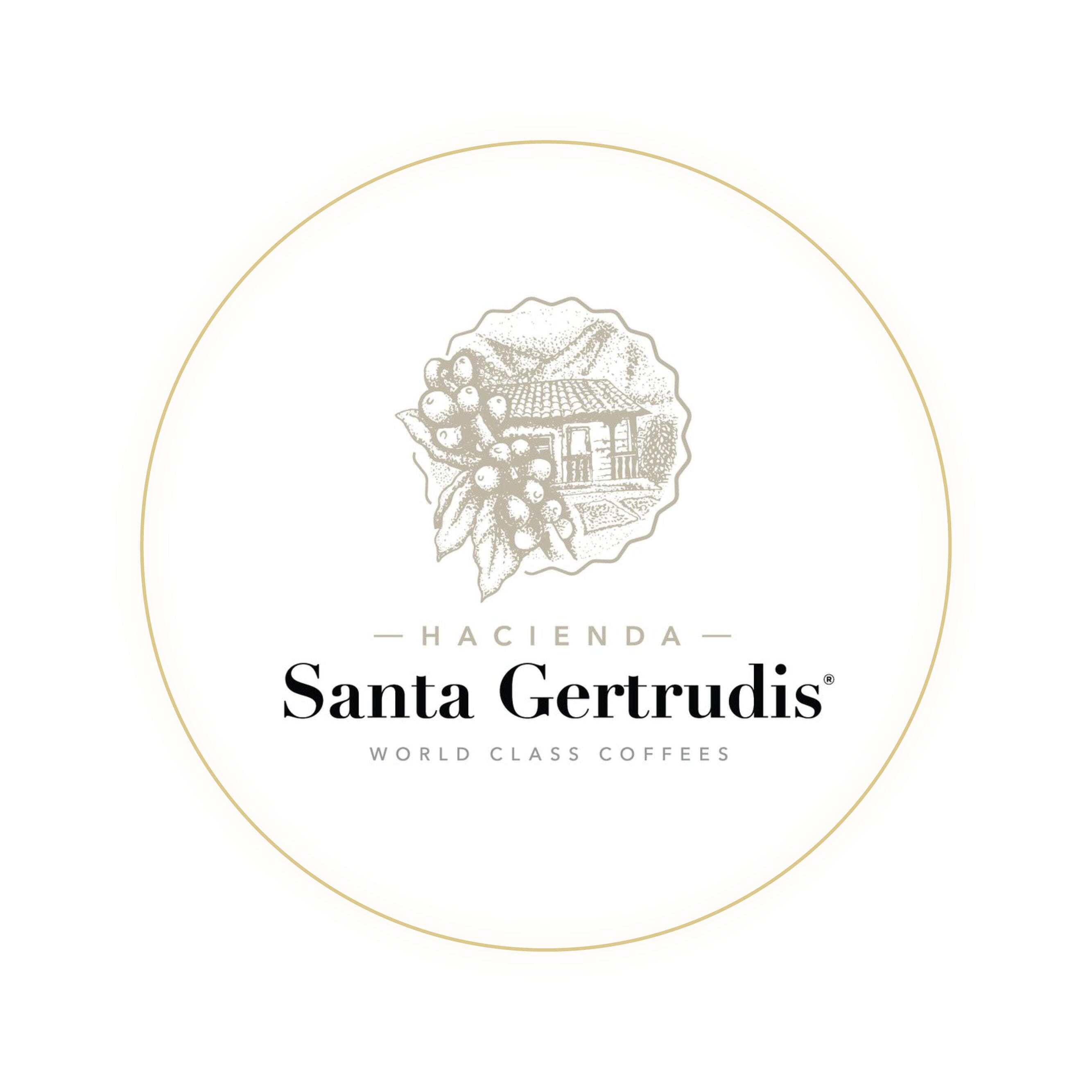 Santa Gertrudis—Washed Geisha 100g Gold 